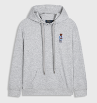 Little bear, gray color