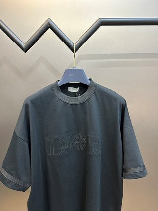 Dior Oblique Logo Embroidered T-Shirt Light Blue T-Shirt - 19