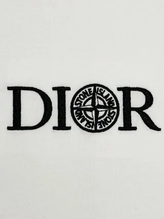 Dior Oblique Logo Embroidered T-Shirt Light Blue T-Shirt - 13