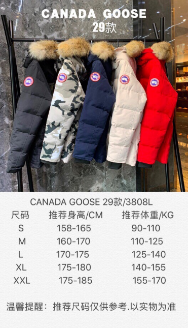 Canada Goose Expedition Parka Black with Raccoon Fur Trim - 3