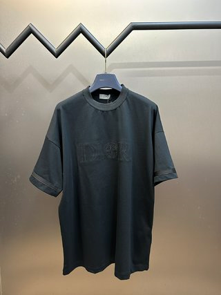 Dior Oblique Logo Embroidered T-Shirt Light Blue T-Shirt - 6