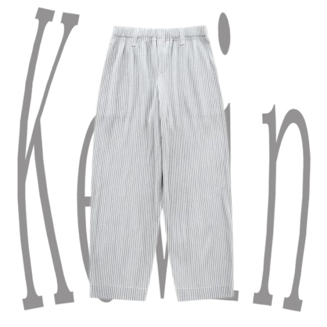 Issey Miyake Issey Miyake JF150 Wrinkled Pants - H51