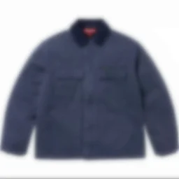 thumbnail for L1958-E33