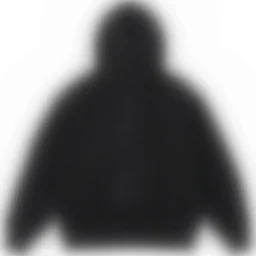 thumbnail for L1535-E33