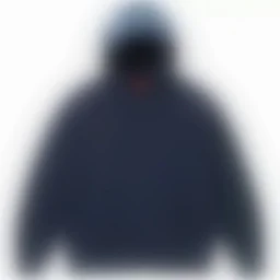 thumbnail for L2924-H29