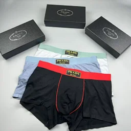 thumbnail for Prda, DG, and BSS UNDERWEAR  Three pieces per box  SIZE:L-3XL LINK5