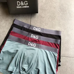 thumbnail for Prda, DG, and BSS UNDERWEAR  Three pieces per box  SIZE:L-3XL LINK5