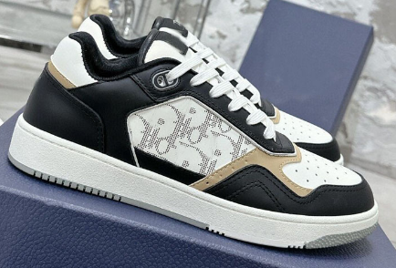 Dior B27 Low Top Oblique Black Gold