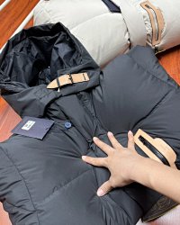 Louis Vuitton  Down Jacket 2+ colorways [Premium Quality] — seller photo 8
