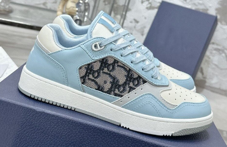 Dior B27 Low Top Oblique Baby Blue