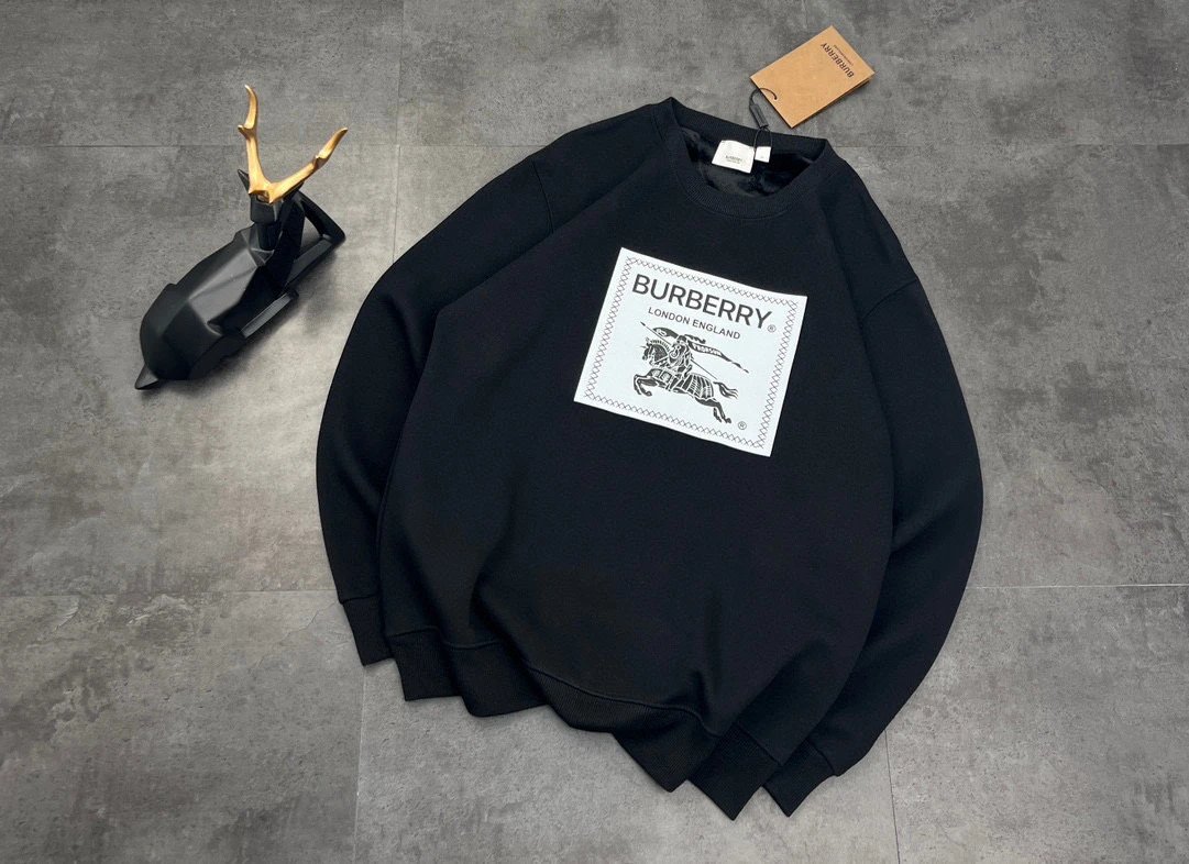 Burberry Hooded sweatshirts with logo patch or embroidered equestrian motif — 12