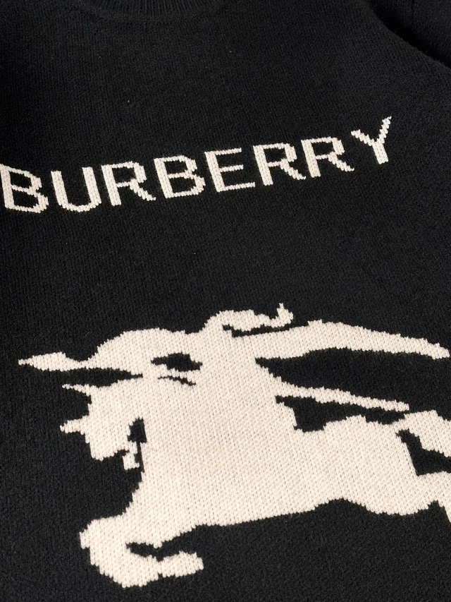Burberry Hooded sweatshirts with logo patch or embroidered equestrian motif product detail image 92
