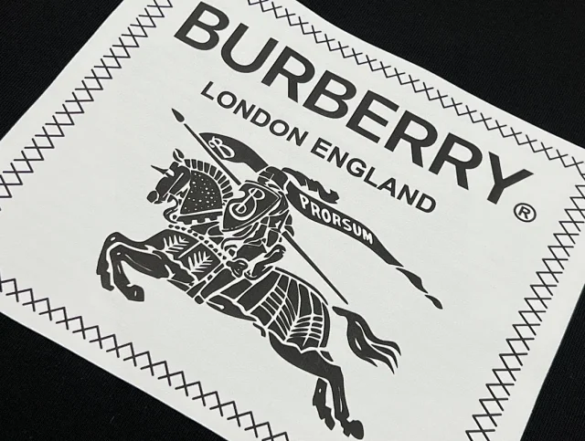 Burberry Hooded sweatshirts with logo patch or embroidered equestrian motif product detail image 79