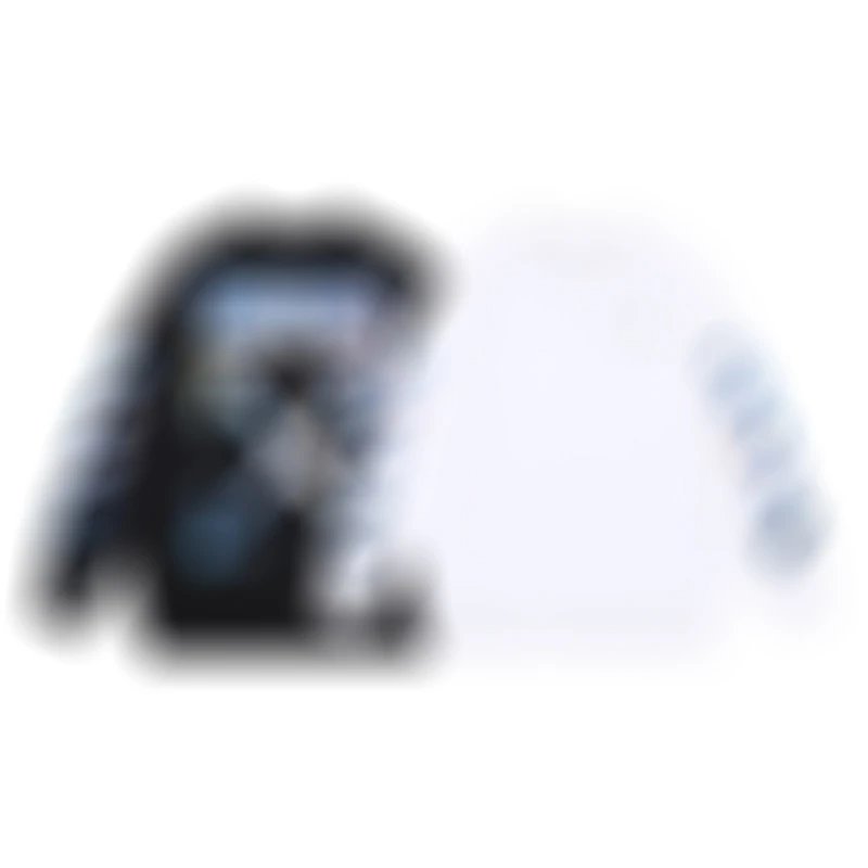 L13731-93L