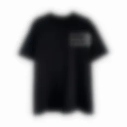 thumbnail for L11176-H9