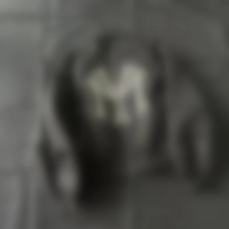 Jacket preview 4