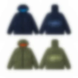 thumbnail for N48-25979