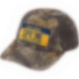 thumbnail for N33-24391