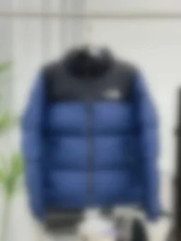 thumbnail for N95-24515