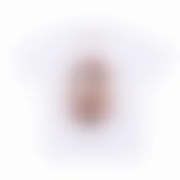 thumbnail for N1-0044