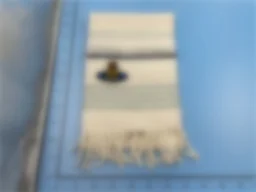 thumbnail for SALE1138-NO REFUND