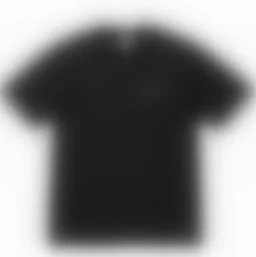 thumbnail for N33-4269