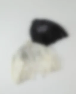 thumbnail for N43-25416