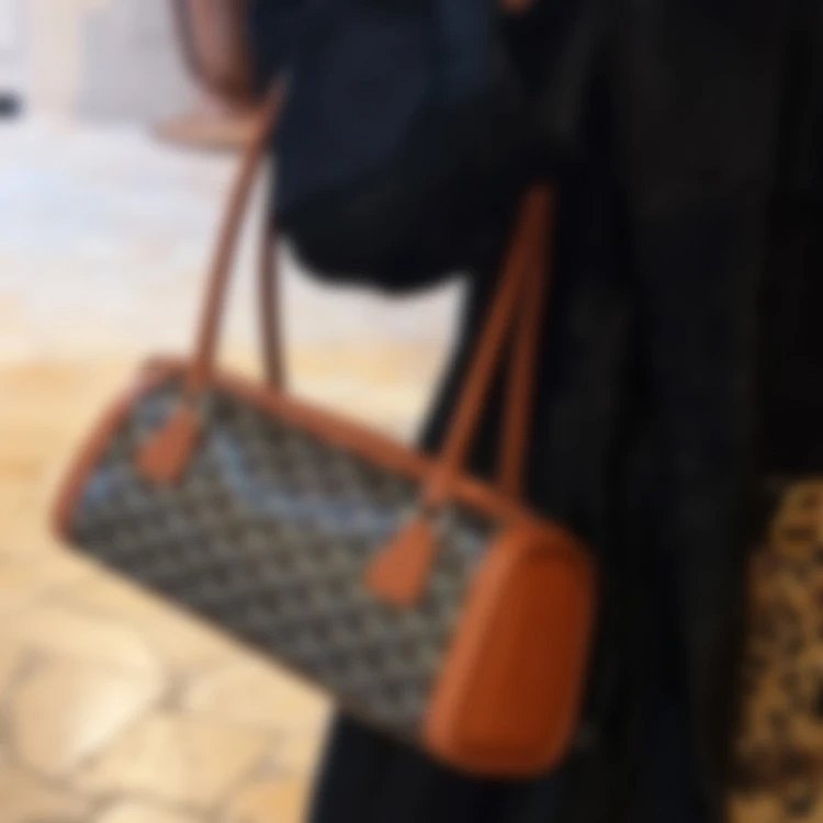 P1159 Item ID 9027 GOYARD Bonbonniere Classic Monogram Canvas & Cowhide Leather Baguette Shoulder Ba