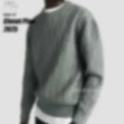 thumbnail for D presbydom sweater gray