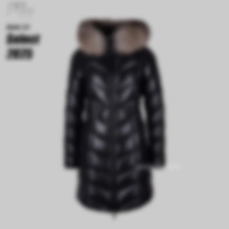 Mon Fulmarus Snow Mountain Down Jacket(1080¥)