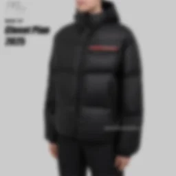 thumbnail for PRA red type goose dawn jacket