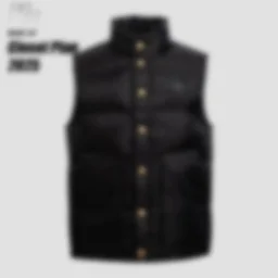 thumbnail for Concealed all-over down vest