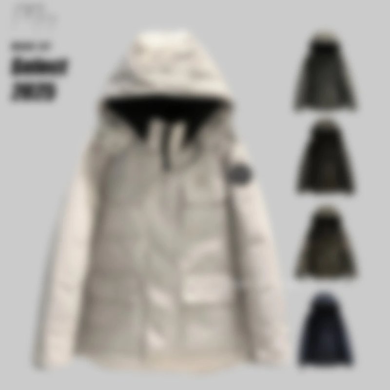 CG Maitland down jacket（880¥）