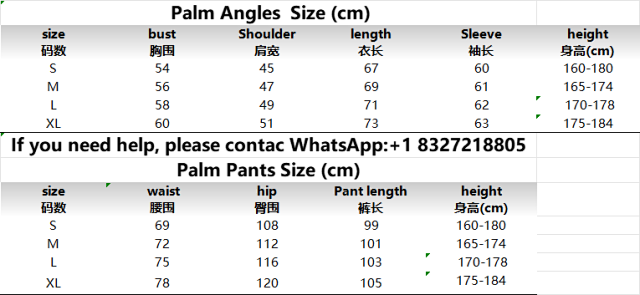 Palm Angels Sports Suit: seller detail photo 3