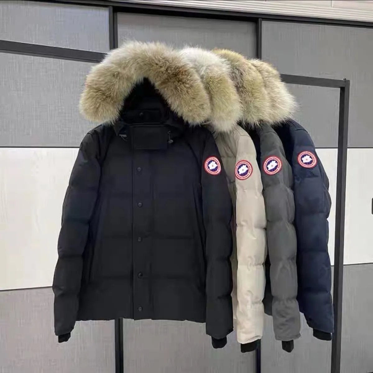 Fashion Goose Down Jacket (1:1 High Version Down Jacket)-003