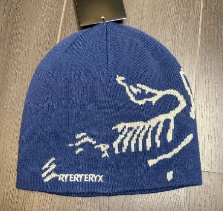 Even More Arcteryx Beanies 7