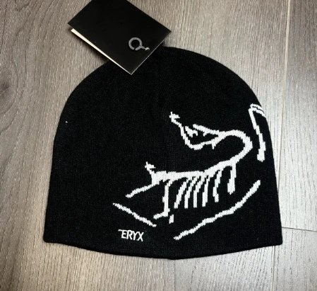 Even More Arcteryx Beanies