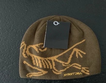 Even More Arcteryx Beanies 8