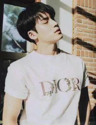 Dior T-Shirts Crew Neck Logo T-Shirt image 7