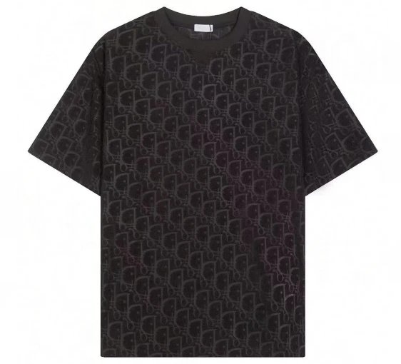 Dior T-Shirts Crew Neck Logo T-Shirt — 19