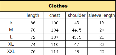 Polo Ralph Lauren Chicago Polo Black Polo Shirt product detail 2 in Litbuy spreadsheet finds
