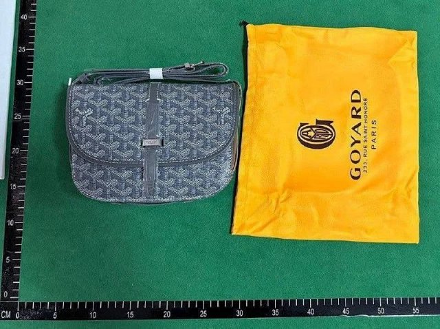 Goyard Bag: seller detail photo 6