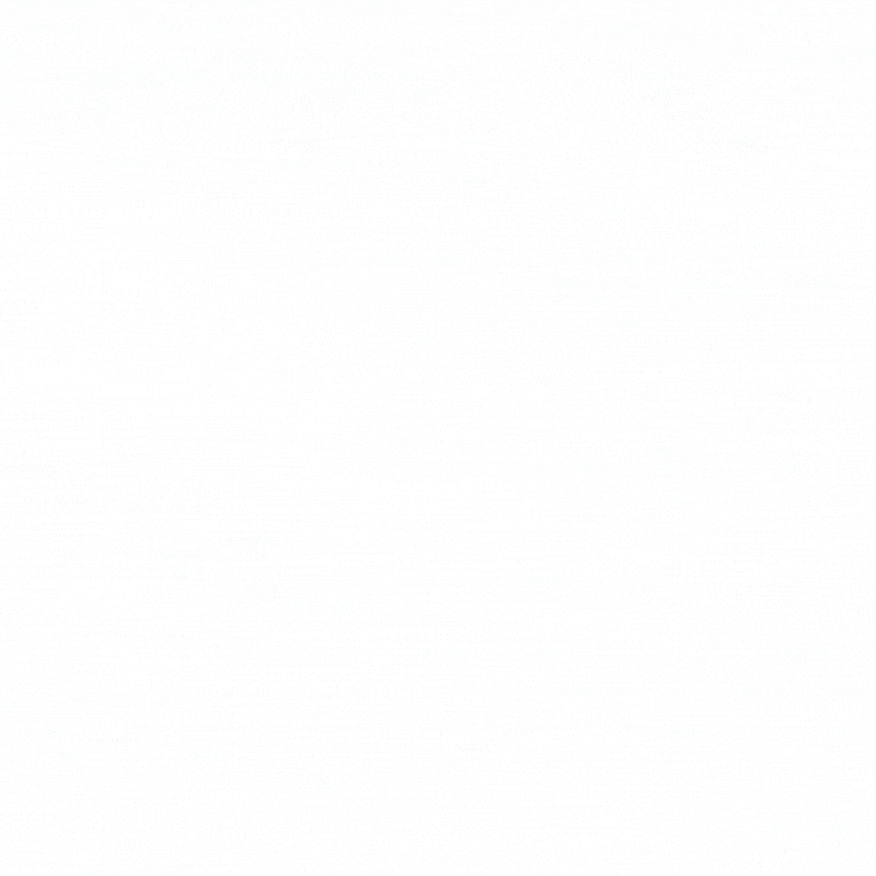 Stone Island Down Jacket [3 st