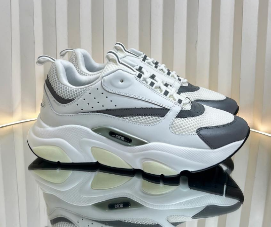 Dior B22 Sneaker White Grey
