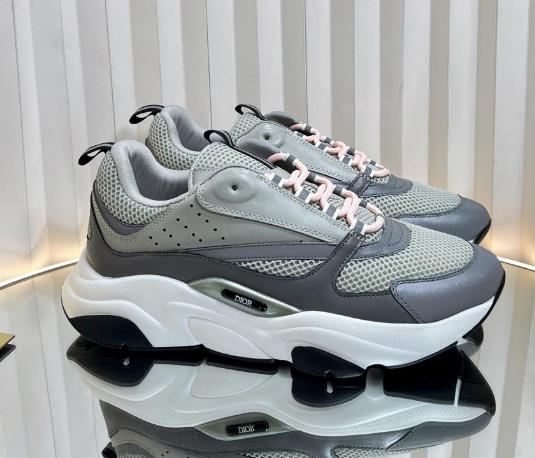 Dior B22 Sneaker Grey White
