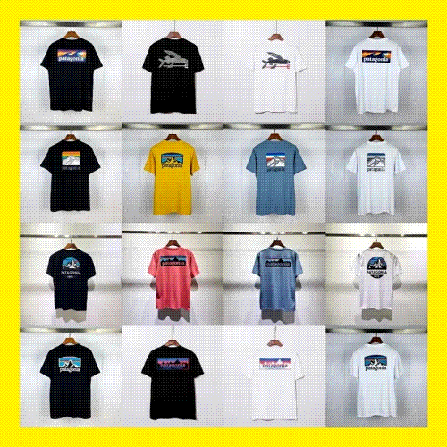 Patagonia Tee