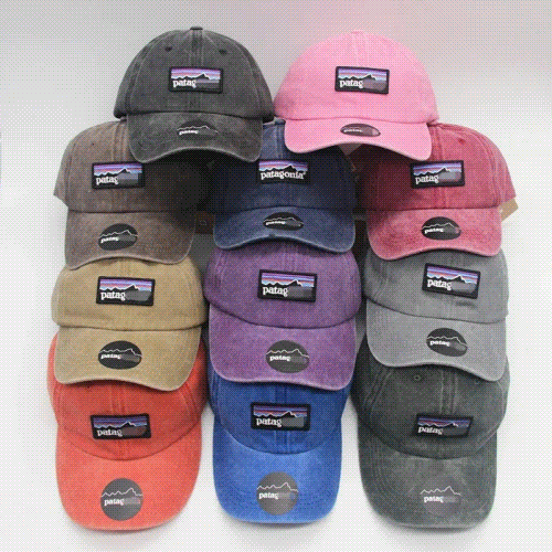 Patagonia Hat-1