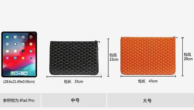 Goyard Bag: seller detail photo 14