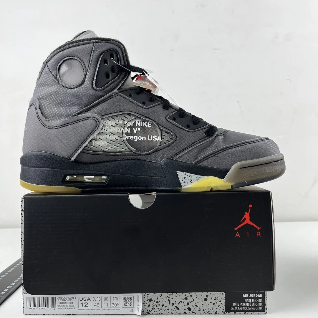 AJ5 Black Cicada Wing CT8480-001