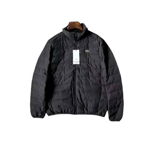 Chaqueta Acolchada Lacoste